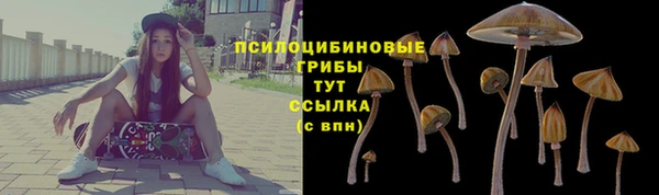 МДМА Богородицк