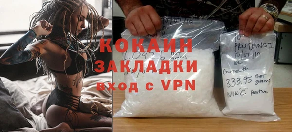сатива Сосновый Бор