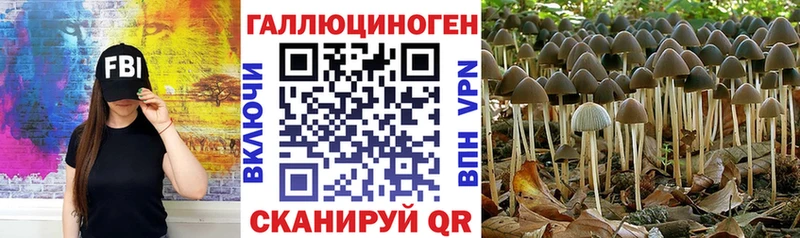 Галлюциногенные грибы ЛСД  гидра   Муравленко 